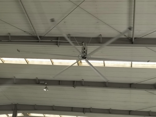 1689559953611952.jpg 22.jpg